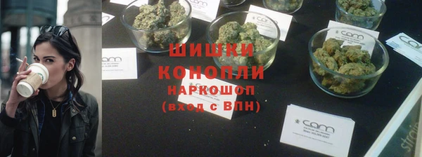 гидра Пересвет