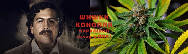эйфоретик Осинники