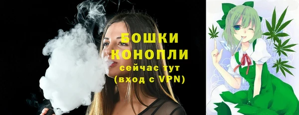 ПСИЛОЦИБИНОВЫЕ ГРИБЫ Арсеньев