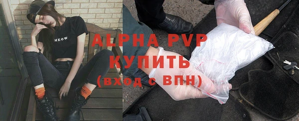 гидра Пересвет