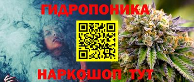 метадон Кимры