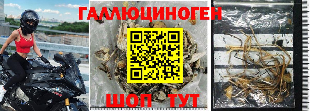 Псилоцибиновые грибы ЛСД  Галлюциногенные грибы Psilocybine cubensis  Учалы  Вход с VPN 