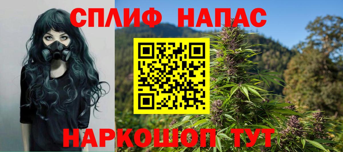 Конопля план  Вход с VPN  Конопля White Widow  Бошки Шишки Amnesia  Учалы 